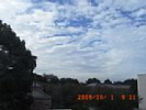 20091001_091111.jpg