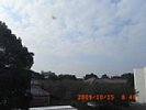 20091015_084825.jpg