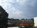 20091017_084825.jpg