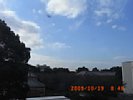 20091019_084825.jpg