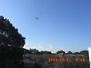 20091021_084825.jpg