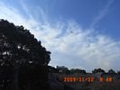 20091112_084825.jpg