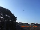 20091202_084825.jpg