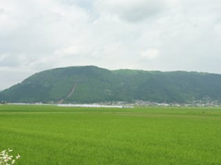 05_nakadoori_katasumi_vis_dsc02348.jpg