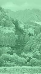 14n_nakasakanashi_nir_dsc00290.jpg