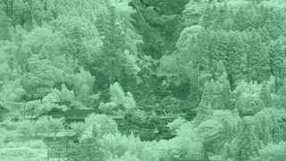 17d_zoom4_dsc00286.jpg