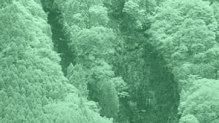 17e_zoom5_dsc00287.jpg
