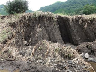 18_kitasakanashi_01_dsc02413.jpg