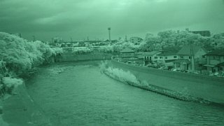 36n_tatsudajinnai_nir_dsc00301.jpg