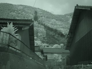 43_tateno2_nir_dsc04439.jpg