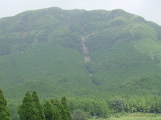 46_mikubo1_vis_dsc04363.jpg
