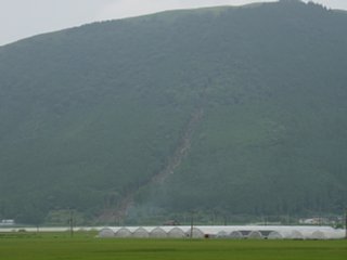 50_shobudzuka_vis_dsc04367.jpg