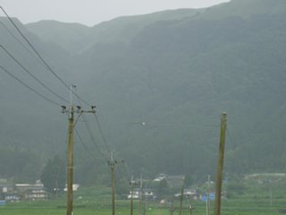 61_shioi1_vis_dsc04390.jpg