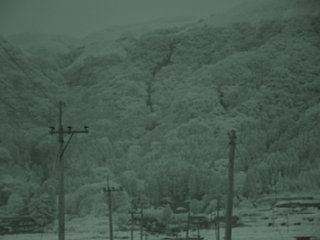 62_shioi1_nir_dsc04391.jpg