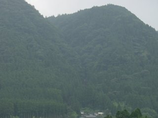 65_kitasakanashi3_vis_dsc04394.jpg