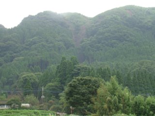 77_kitasakanashi8_zoom_vis_dsc04409.jpg