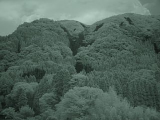 78_kitasakanashi8_zoom_nir_dsc04410.jpg
