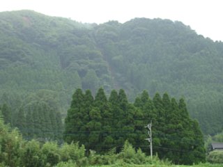 79_kitasakanashi9_zoom_vis_dsc04411.jpg