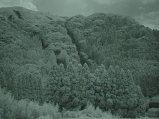 80_kitasakanashi9_zoom_nir_dsc04412.jpg