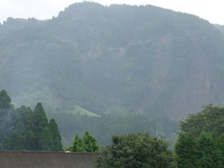 83_sakanashi2_vis_dsc04415.jpg