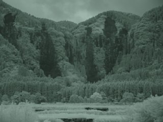 86_sakanashi3_waterfall_nir_dsc04431.jpg