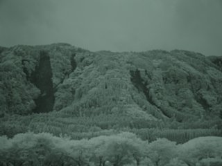 94_sakanashi7_nir_dsc04433.jpg