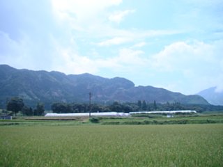 95_sakanashi8_vis_dsc04435.jpg
