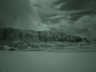 96_sakanashi8_nir_dsc04434.jpg