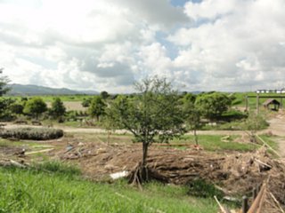 chikugokouikikouen1_vis_dsc05764.jpg