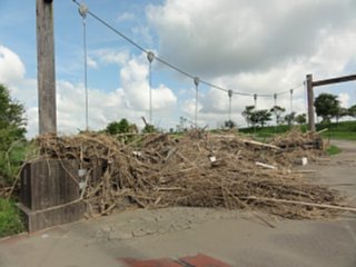 chikugokouikikouen3_data_dsc05769.jpg