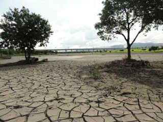 chikugokouikikouen4_data_dsc05777.jpg