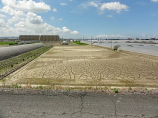 nakayama1_vis_dsc05917.jpg