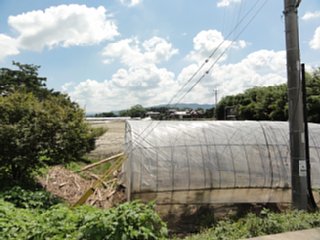 nakayama5_data_dsc05940.jpg