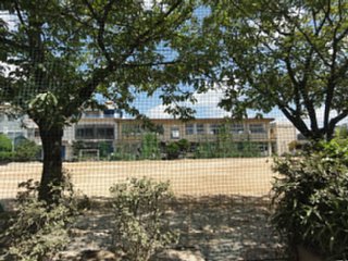 nakayama7_shogakkou_data_dsc05950.jpg