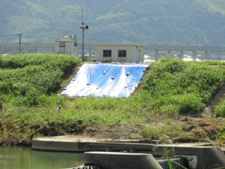 setakahongou1_data_dsc05850.jpg