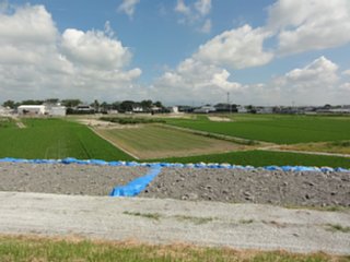 setakahongou2_data_dsc05849.jpg
