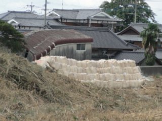 setakahongou3_teirinjikannondo_zoom_data_dsc02573.jpg