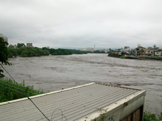 20120712_115949.jpg