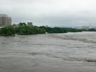 20120712_120117.jpg