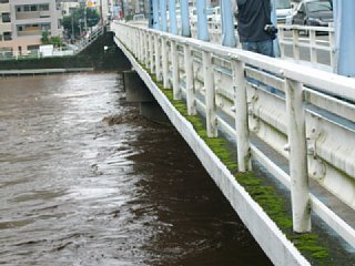 20120712_120301.jpg