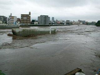 20120712_120514.jpg