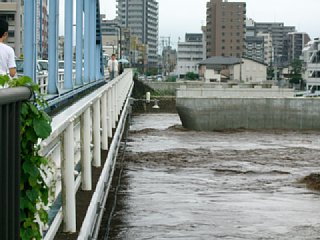 20120712_120717.jpg