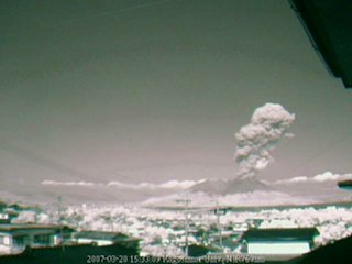 09_kinkodaiNIR.jpg