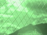 0610051503.jpg