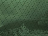 0610230703.jpg