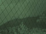 0611010703.jpg
