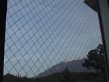 0608020600.jpg