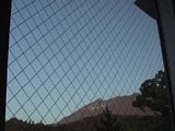 0608080600.jpg
