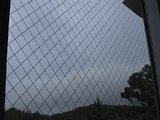 0608110600.jpg