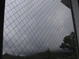 0608111200.jpg